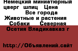 Немецкий миниатюрный(цверг) шпиц › Цена ­ 50 000 - Все города Животные и растения » Собаки   . Северная Осетия,Владикавказ г.